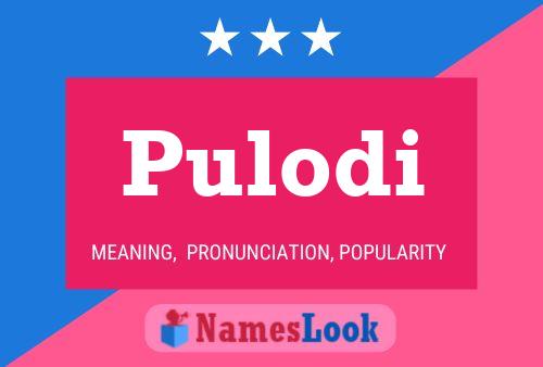 ملصق اسم Pulodi