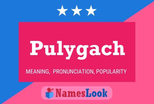 ملصق اسم Pulygach