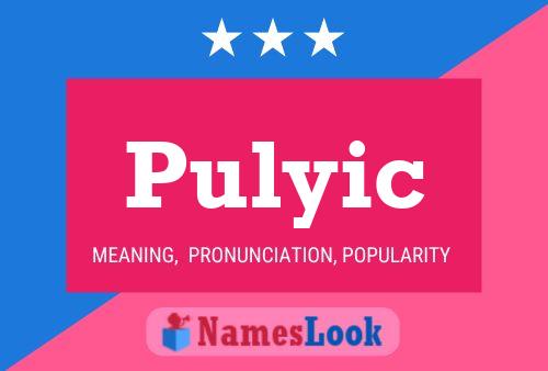 ملصق اسم Pulyic