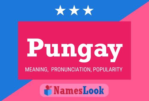 ملصق اسم Pungay