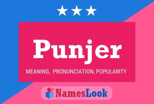 ملصق اسم Punjer