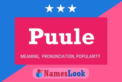 ملصق اسم Puule