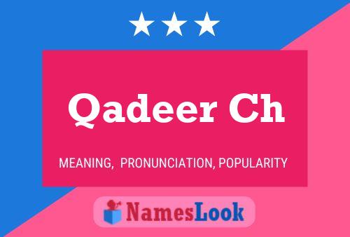 ملصق اسم Qadeer Ch