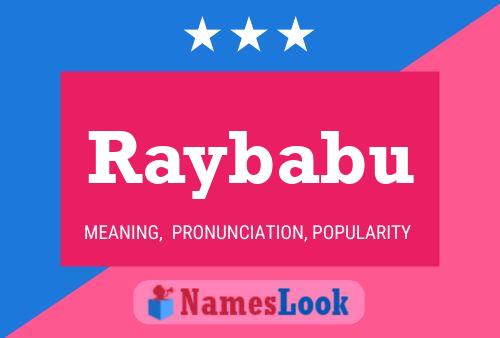 ملصق اسم Raybabu