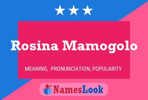 ملصق اسم Rosina Mamogolo