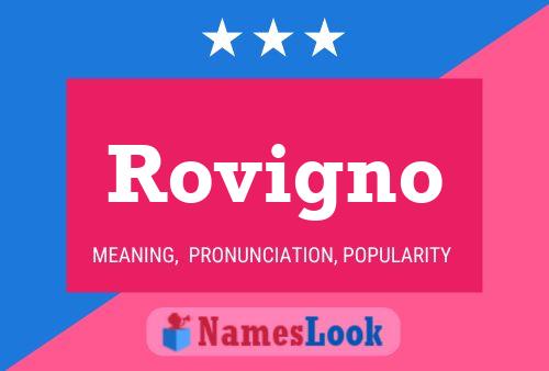 ملصق اسم Rovigno