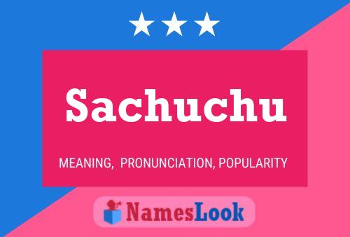 ملصق اسم Sachuchu