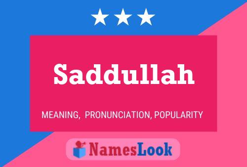 ملصق اسم Saddullah