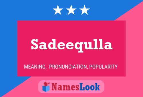 ملصق اسم Sadeequlla