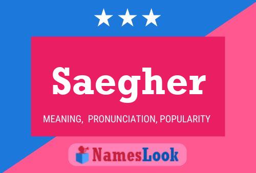 ملصق اسم Saegher