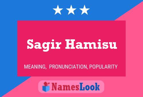 ملصق اسم Sagir Hamisu