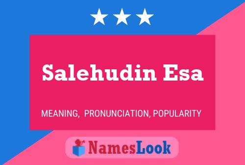 ملصق اسم Salehudin Esa