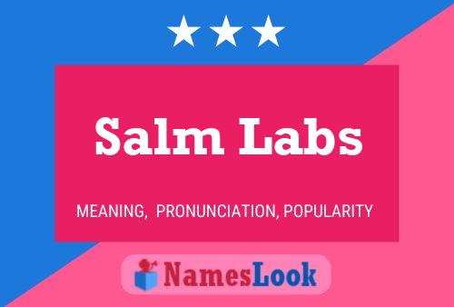 ملصق اسم Salm Labs