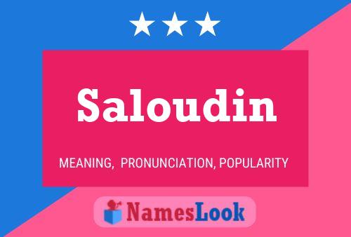 ملصق اسم Saloudin