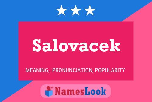 ملصق اسم Salovacek