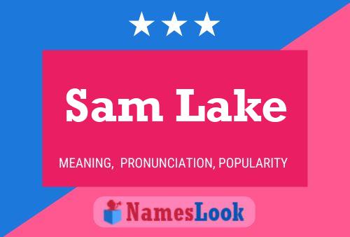 ملصق اسم Sam Lake