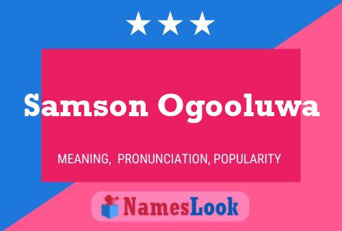 ملصق اسم Samson Ogooluwa