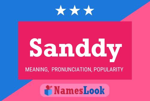 ملصق اسم Sanddy