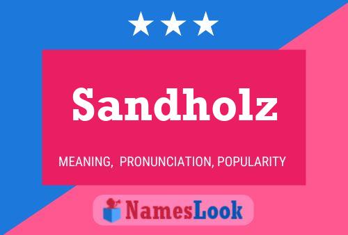 ملصق اسم Sandholz