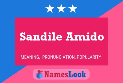 ملصق اسم Sandile Amido