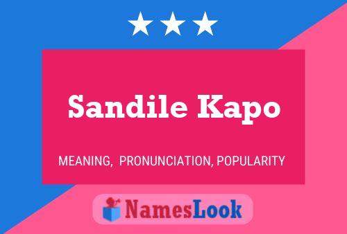 ملصق اسم Sandile Kapo