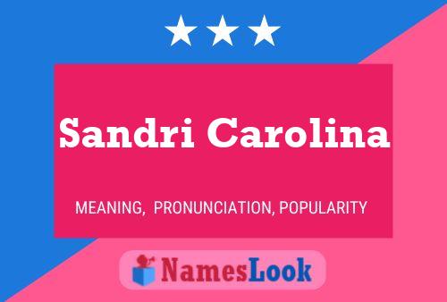 ملصق اسم Sandri Carolina