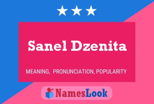 ملصق اسم Sanel Dzenita