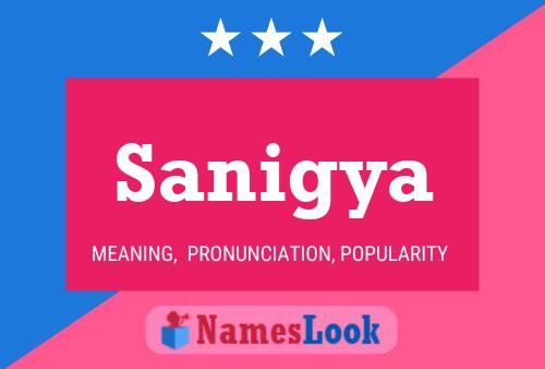 ملصق اسم Sanigya