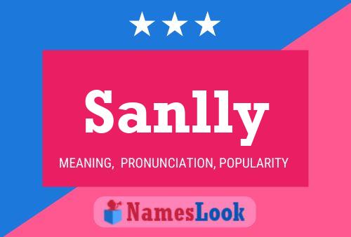 ملصق اسم Sanlly