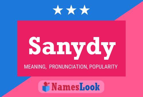 ملصق اسم Sanydy