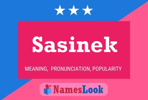 ملصق اسم Sasinek