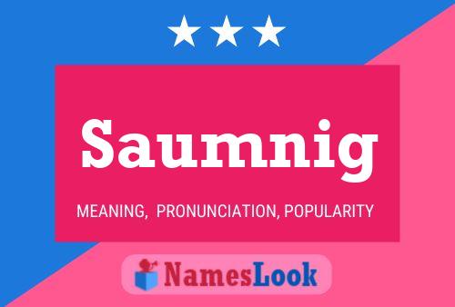 ملصق اسم Saumnig