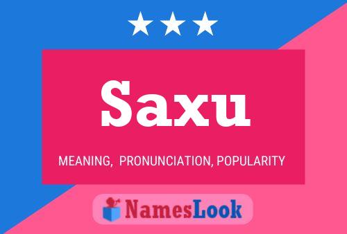 ملصق اسم Saxu