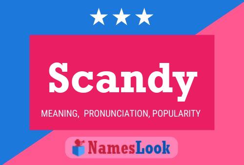 ملصق اسم Scandy