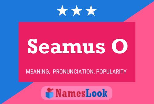 ملصق اسم Seamus O