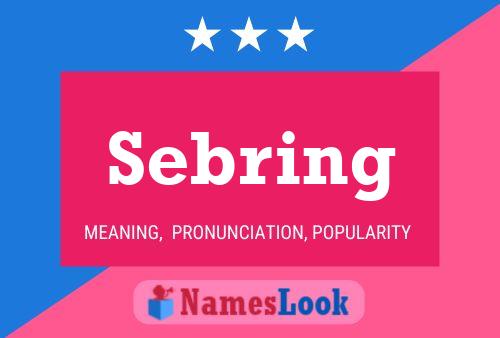 ملصق اسم Sebring