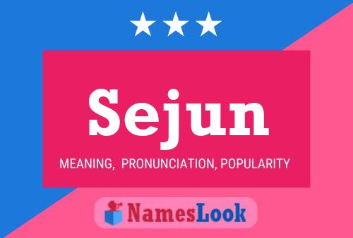 ملصق اسم Sejun