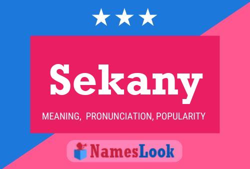 ملصق اسم Sekany