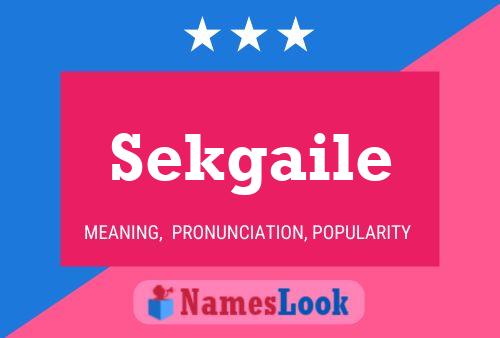 ملصق اسم Sekgaile