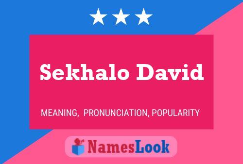 ملصق اسم Sekhalo David