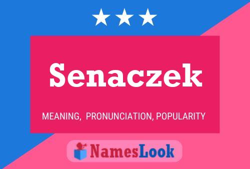 ملصق اسم Senaczek