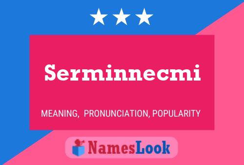 ملصق اسم Serminnecmi