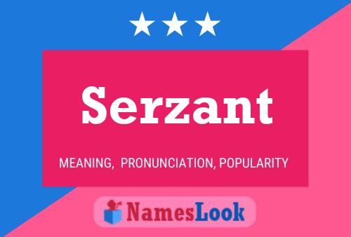 ملصق اسم Serzant