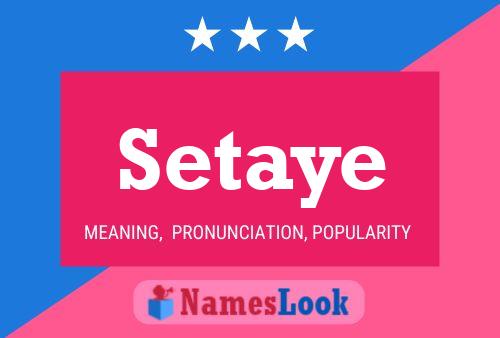 ملصق اسم Setaye