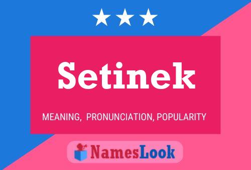 ملصق اسم Setinek