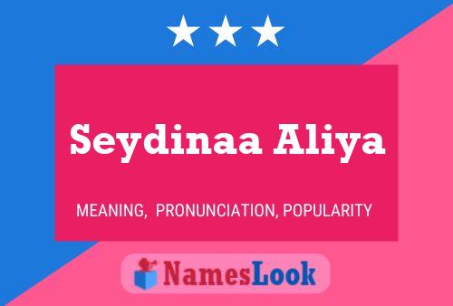 ملصق اسم Seydinaa Aliya