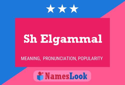 ملصق اسم Sh Elgammal