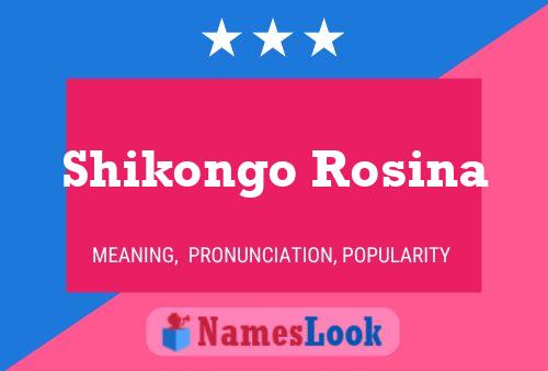 ملصق اسم Shikongo Rosina