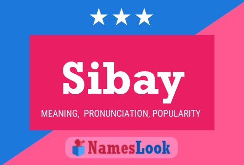 ملصق اسم Sibay