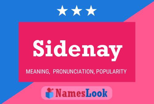 ملصق اسم Sidenay